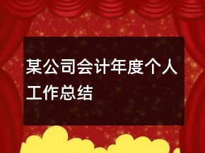 某公司會計年度個人工作總結(jié)