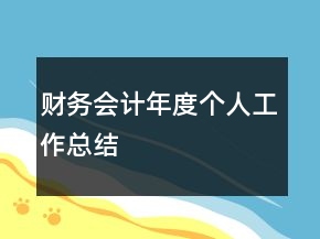 財(cái)務(wù)會(huì)計(jì)年度個(gè)人工作總結(jié)
