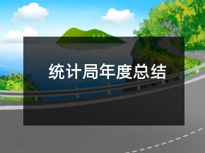 統(tǒng)計(jì)局年度總結(jié)