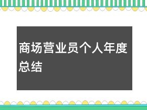 商場營業(yè)員個(gè)人年度總結(jié)