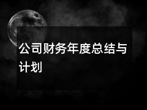 公司財務年度總結(jié)與計劃