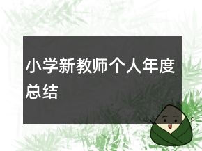 小學(xué)新教師個人年度總結(jié)
