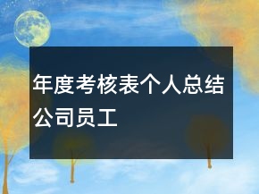 年度考核表個(gè)人總結(jié)公司員工