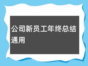 公司新員工年終總結通用