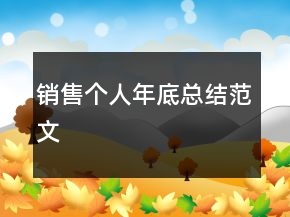銷售個(gè)人年底總結(jié)范文