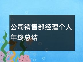 公司銷售部經(jīng)理個人年終總結(jié)