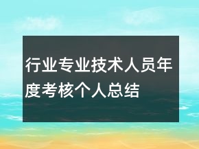 行業(yè)專業(yè)技術(shù)人員年度考核個人總結(jié)