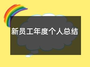 新員工年度個(gè)人總結(jié)
