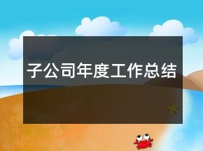 子公司年度工作總結