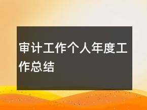 審計(jì)工作個人年度工作總結(jié)