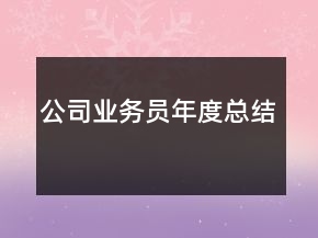 公司業(yè)務(wù)員年度總結(jié)