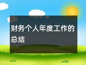 財務(wù)個人年度工作的總結(jié)