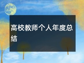 高校教師個(gè)人年度總結(jié)