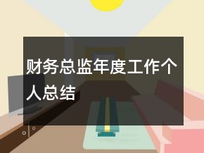 財(cái)務(wù)總監(jiān)年度工作個(gè)人總結(jié)