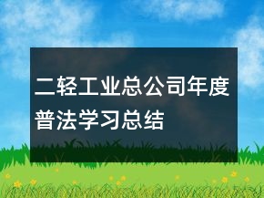 二輕工業(yè)總公司年度普法學(xué)習(xí)總結(jié)