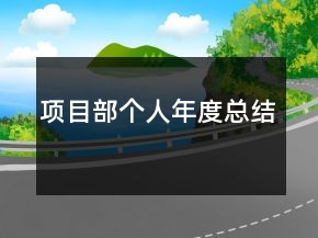 項目部個人年度總結