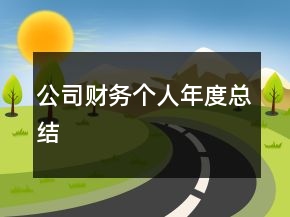 公司財務(wù)個人年度總結(jié)