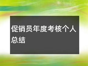促銷員年度考核個(gè)人總結(jié)