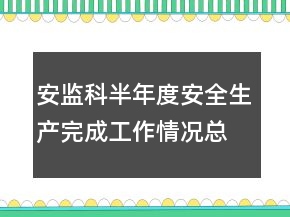 安監(jiān)科半年度安全生產(chǎn)完成工作情況總結