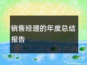 銷售經(jīng)理的年度總結(jié)報(bào)告