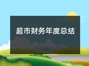超市財務(wù)年度總結(jié)