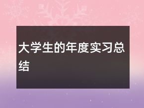 大學生的年度實習總結(jié)