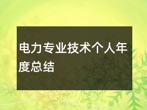 電力專業(yè)技術(shù)個(gè)人年度總結(jié)