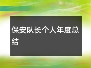 保安隊長個人年度總結(jié)