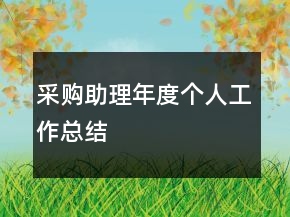 采購(gòu)助理年度個(gè)人工作總結(jié)