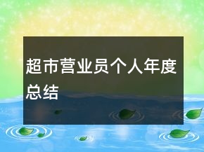 超市營(yíng)業(yè)員個(gè)人年度總結(jié)