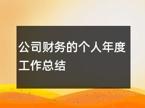 公司財務(wù)的個人年度工作總結(jié)