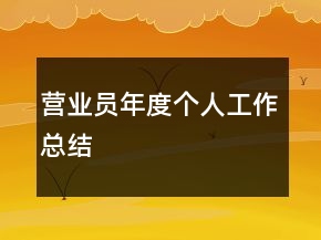 營(yíng)業(yè)員年度個(gè)人工作總結(jié)