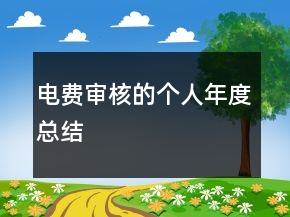電費(fèi)審核的個人年度總結(jié)