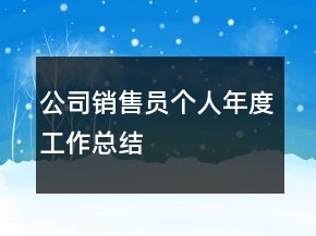 公司銷售員個人年度工作總結(jié)