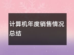 計算機(jī)年度銷售情況總結(jié)