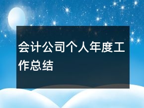 會(huì)計(jì)公司個(gè)人年度工作總結(jié)