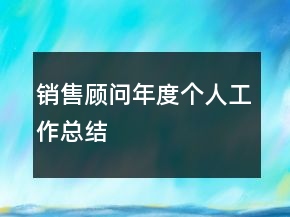 銷售顧問年度個人工作總結(jié)