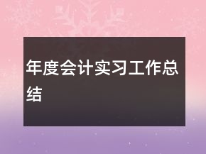 年度會計實(shí)習(xí)工作總結(jié)
