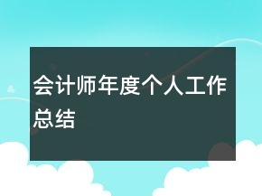 會(huì)計(jì)師年度個(gè)人工作總結(jié)