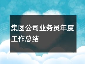集團公司業(yè)務員年度工作總結
