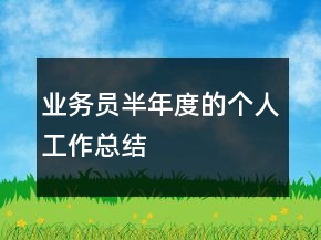 業(yè)務(wù)員半年度的個人工作總結(jié)