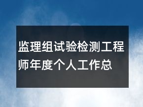 監(jiān)理組試驗檢測工程師年度個人工作總結(jié)