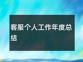 客服個(gè)人工作年度總結(jié)