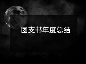 團支書年度總結(jié)