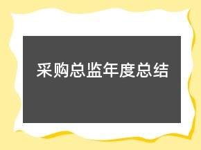 采購總監(jiān)年度總結(jié)