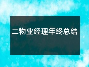 二物業(yè)經(jīng)理年終總結(jié)