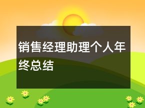 銷售經(jīng)理助理個(gè)人年終總結(jié)