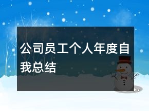 公司員工個(gè)人年度自我總結(jié)