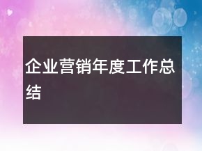 企業(yè)營銷年度工作總結(jié)