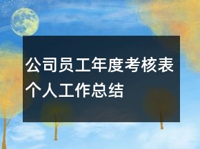 公司員工年度考核表個人工作總結